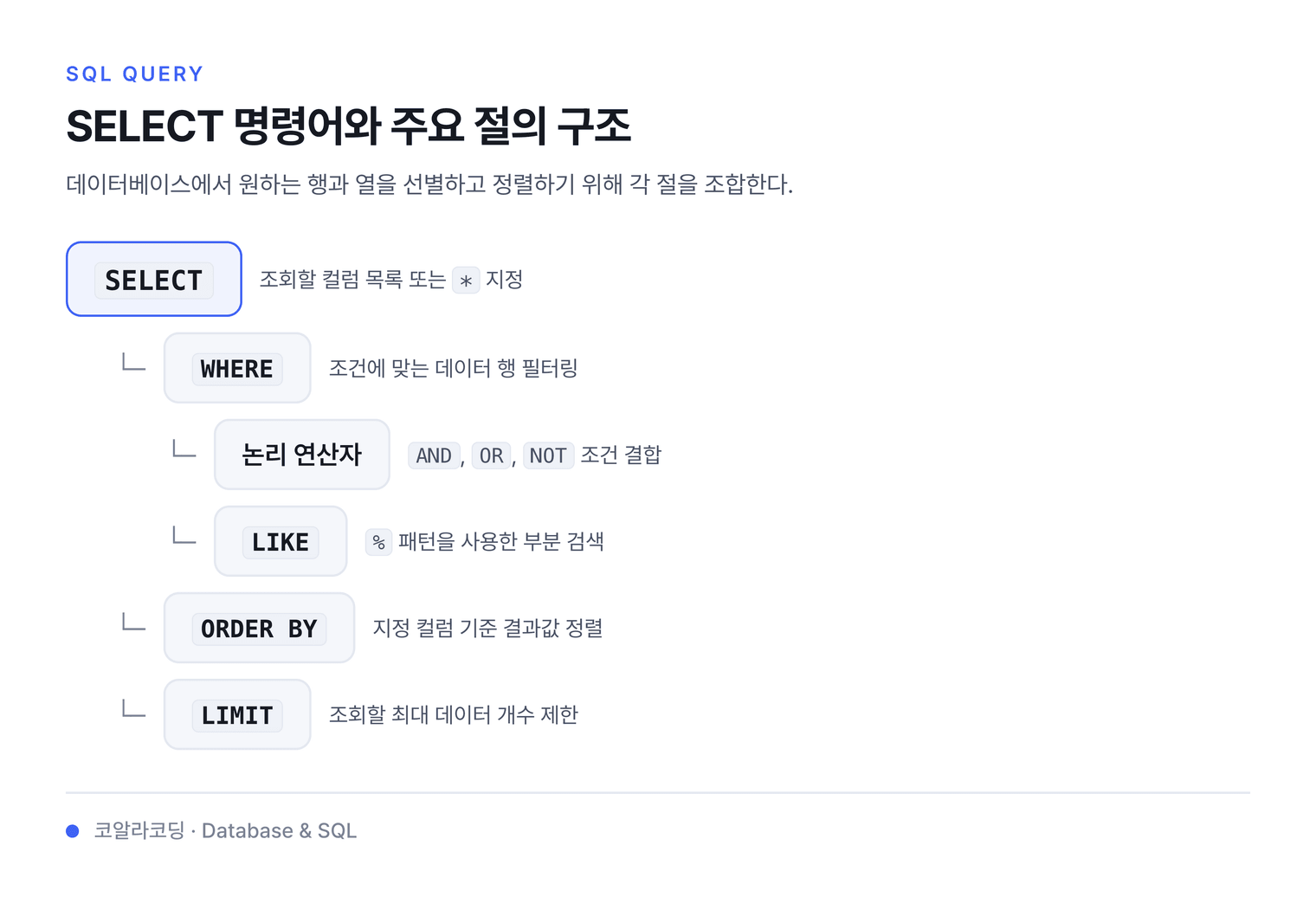 SELECT 명령어와 주요 절의 구조 — 데이터베이스에서 원하는 행과 열을 선별하고 정렬하기 위해 각 절을 조합한다.