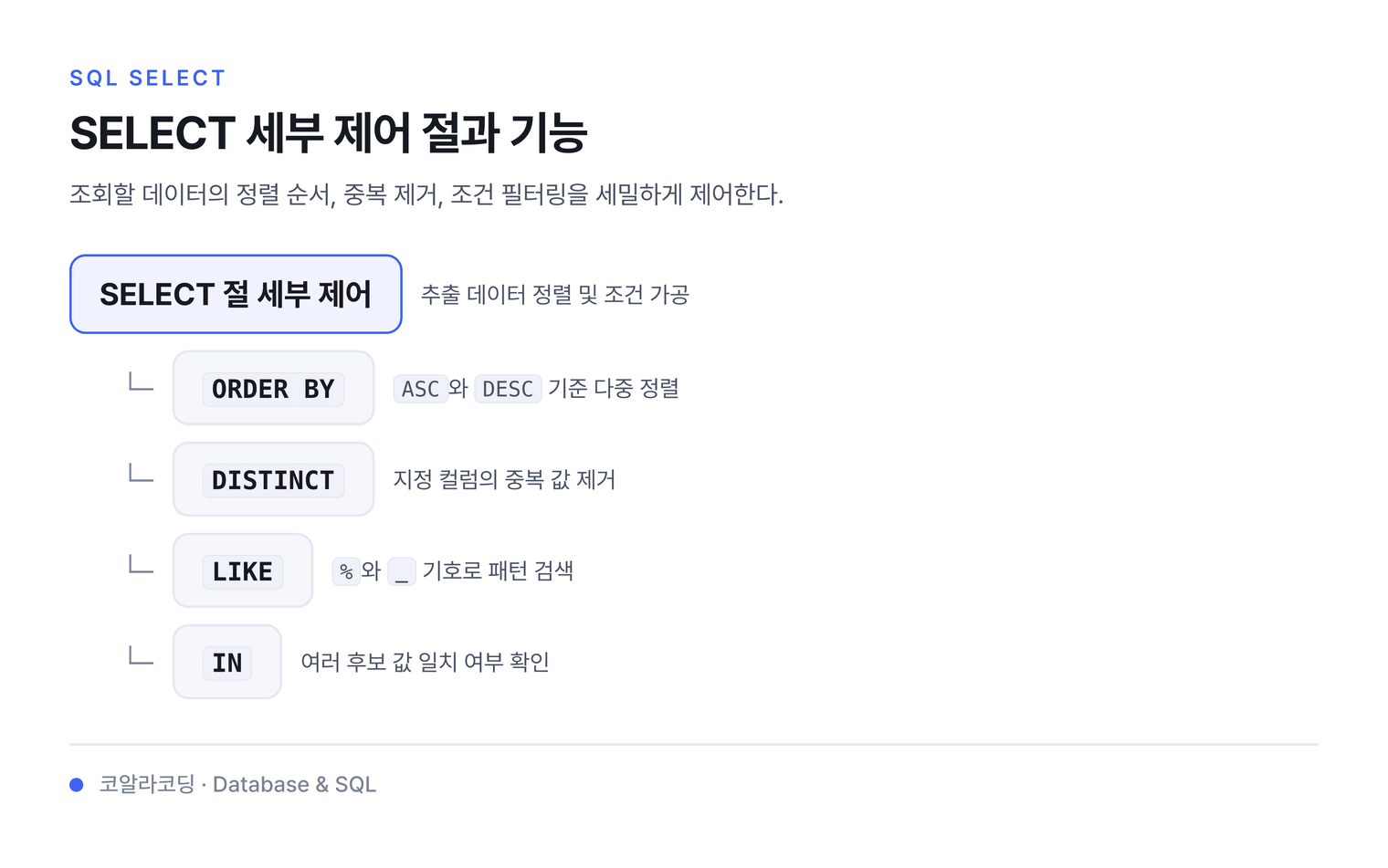 SELECT 세부 제어 절과 기능 — 조회할 데이터의 정렬 순서, 중복 제거, 조건 필터링을 세밀하게 제어한다.
